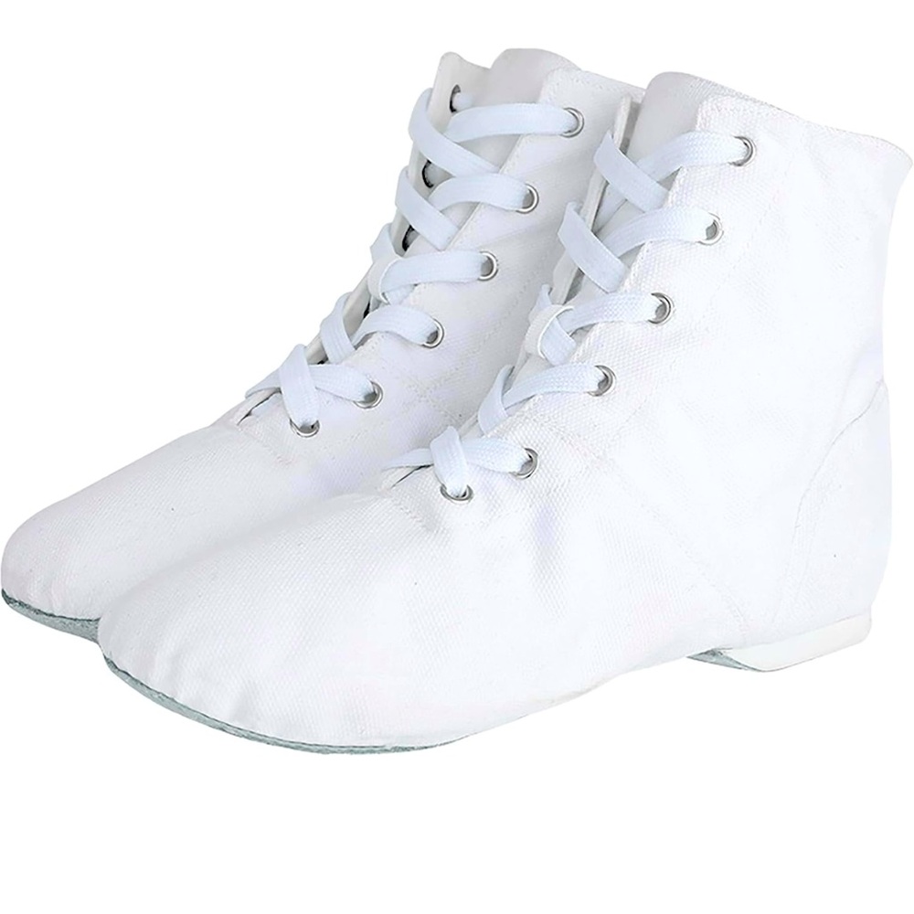 Canvas Dance shoes